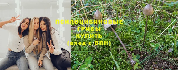 винт Сосновка