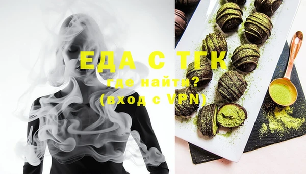 индика Верхний Тагил