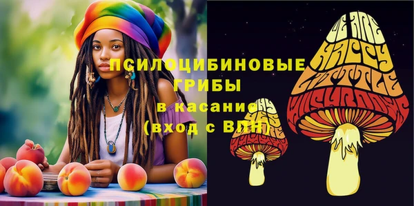 винт Сосновка