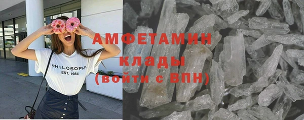 индика Верхний Тагил