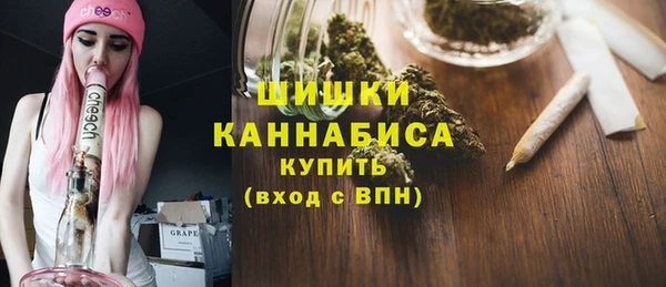 индика Верхний Тагил