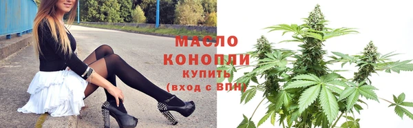 хмурый Сосновый Бор