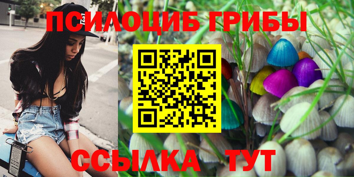 Можайск  Галлюциногенные грибы Psilocybe  Вход с VPN  Галлюциногенные грибы Psilocybine cubensis 